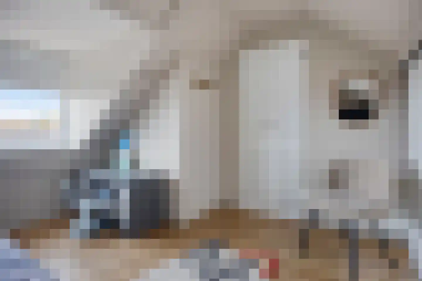 Dr. A. de Haanstraat 11 Oud-Alblas thumbnail 25