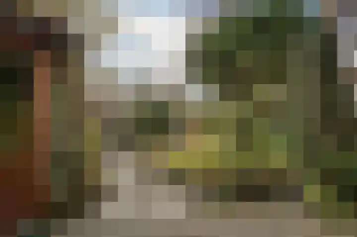 Dr. A.E. Remouchampsstraat 2 Valkenburg thumbnail 21