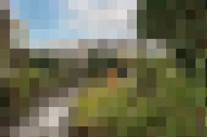 Dr. A.E. Remouchampsstraat 2 Valkenburg thumbnail 22