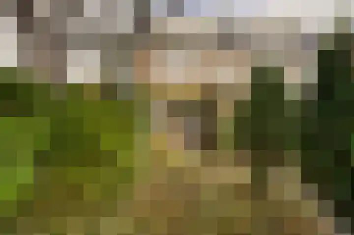 Dr. A.E. Remouchampsstraat 2 Valkenburg thumbnail 23