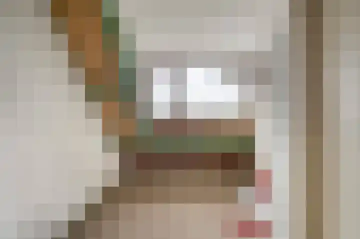 Dr. A.E. Remouchampsstraat 2 Valkenburg thumbnail 32