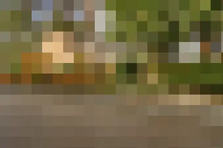 Dr. A.E. Remouchampsstraat 2 Valkenburg thumbnail 35
