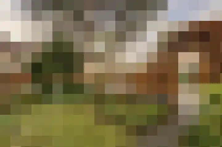 Dr. A.E. Remouchampsstraat 2 Valkenburg thumbnail 4