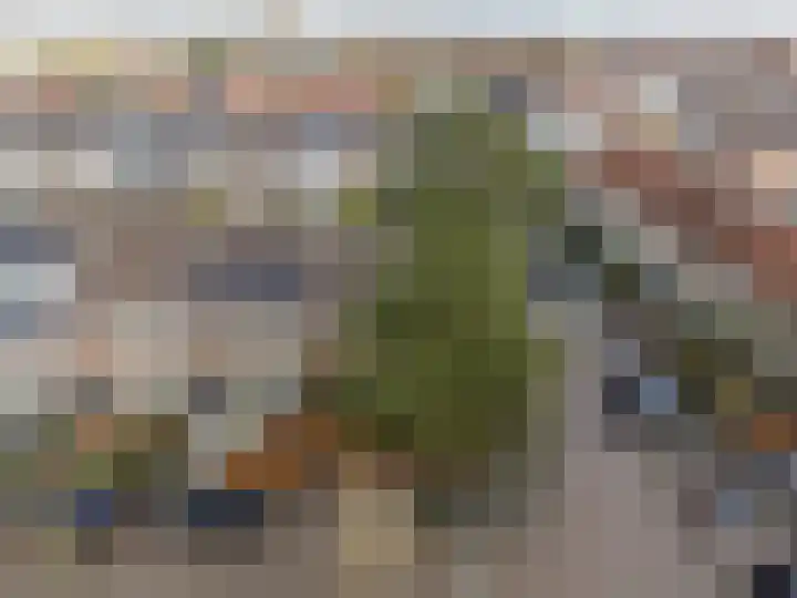 Dr. A.E. Remouchampsstraat 2 Valkenburg thumbnail 40