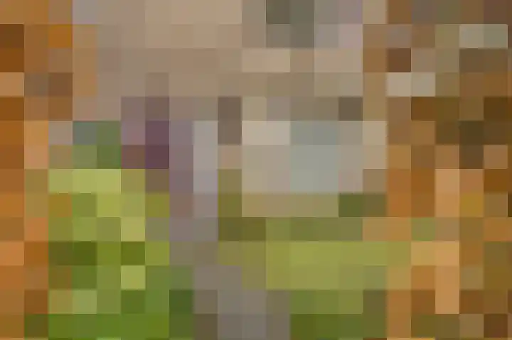 Dr. A.E. Remouchampsstraat 2 Valkenburg thumbnail 5