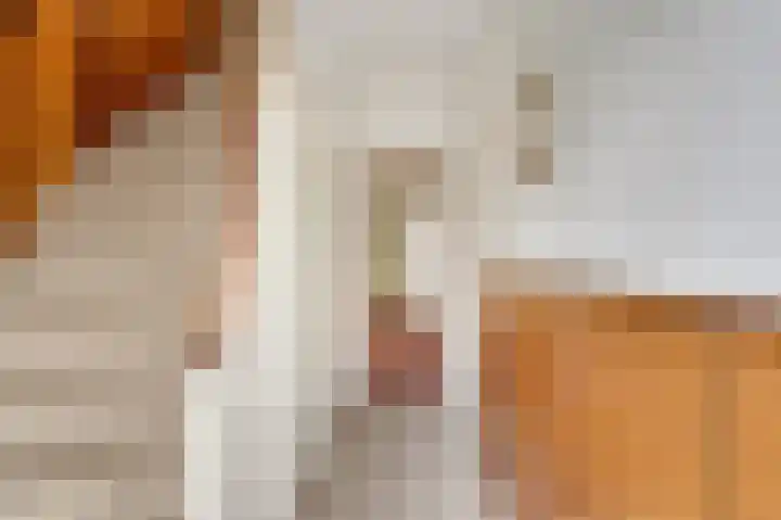 Dr. A.E. Remouchampsstraat 2 Valkenburg thumbnail 7