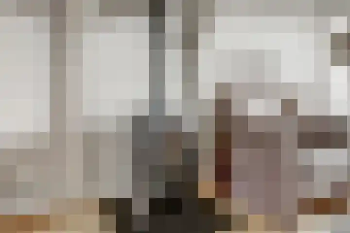 Dr A J Kraaystraat 14 Ochten thumbnail 13