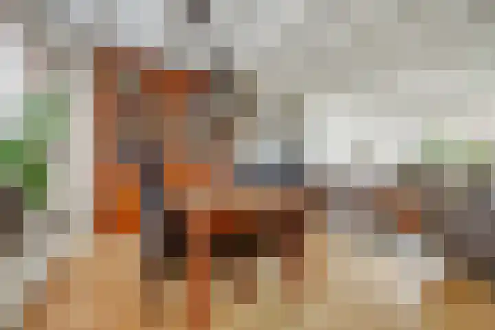 Dr A J Kraaystraat 14 Ochten thumbnail 16