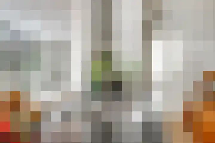 Dr A J Kraaystraat 14 Ochten thumbnail 20