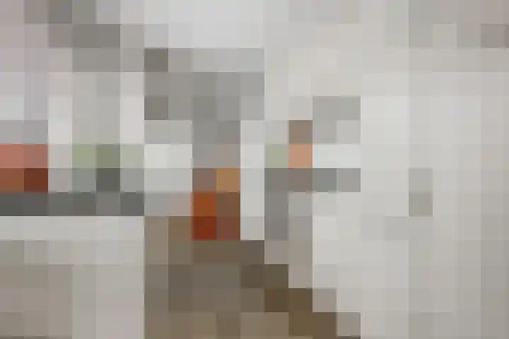 Dr A J Kraaystraat 14 Ochten thumbnail 21