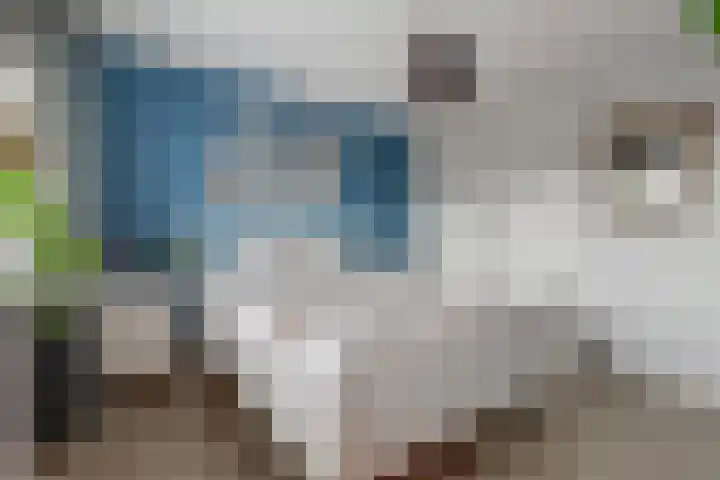 Dr A J Kraaystraat 14 Ochten thumbnail 32