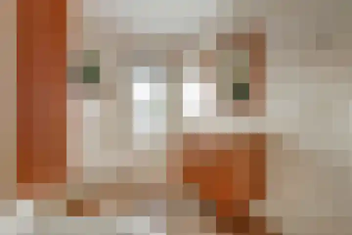 Dr A J Kraaystraat 14 Ochten thumbnail 35