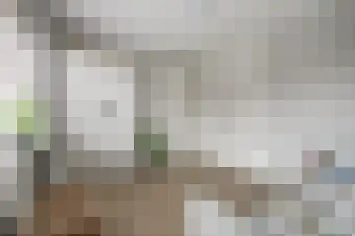Dr A J Kraaystraat 14 Ochten thumbnail 50