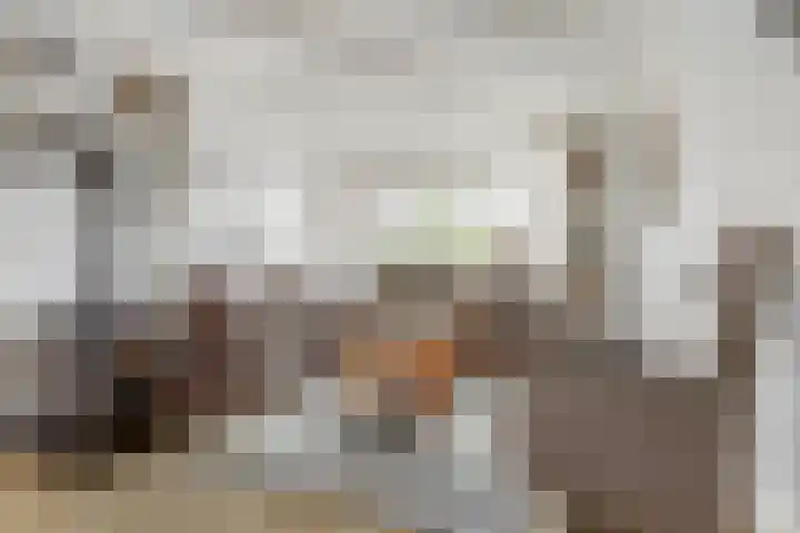 Dr A J Kraaystraat 14 Ochten thumbnail 8