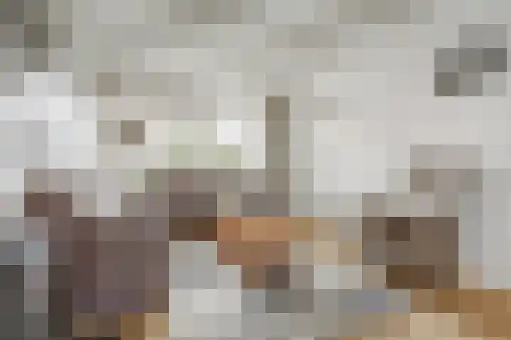 Dr A J Kraaystraat 14 Ochten thumbnail 9
