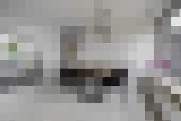 Dr A J Kraaystraat 32 Ochten thumbnail 11