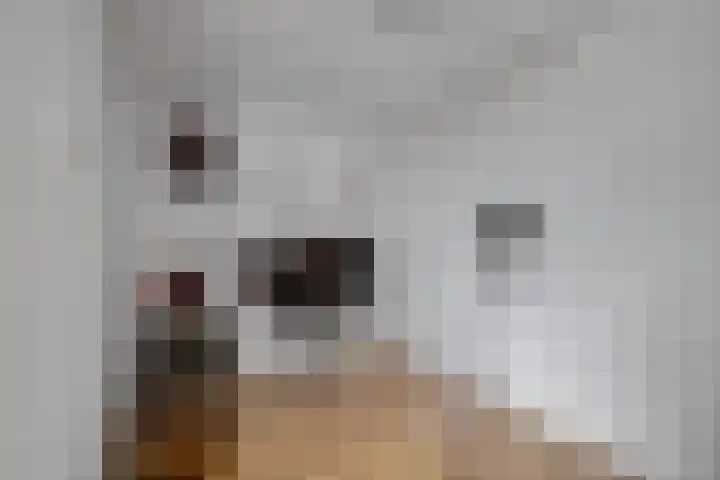 Dr A J Kraaystraat 32 Ochten thumbnail 28