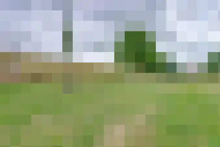 Dr A J Kraaystraat 32 Ochten thumbnail 39