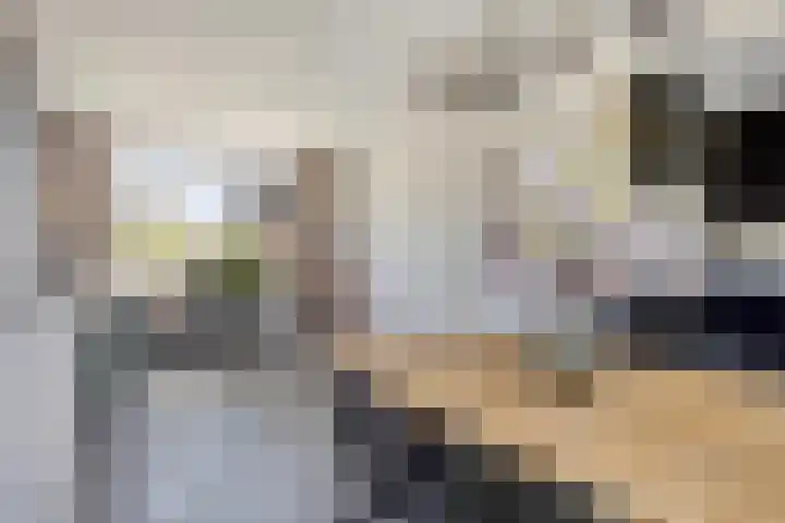 Dr A J Kraaystraat 38 Ochten thumbnail 10