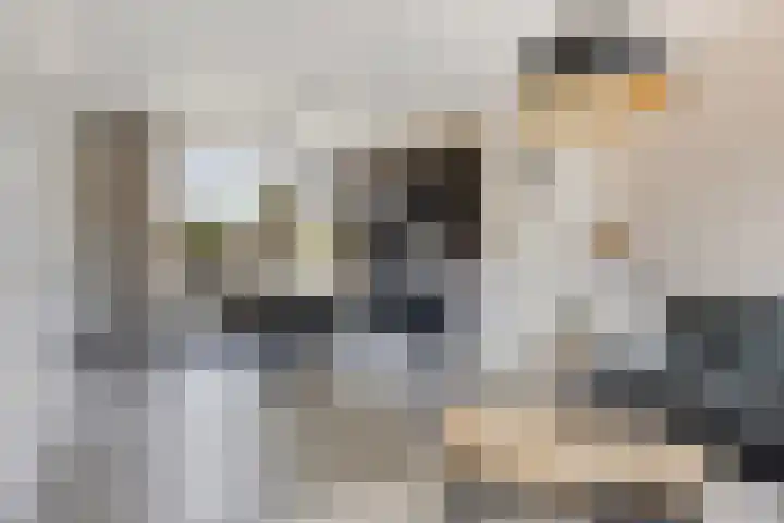 Dr A J Kraaystraat 38 Ochten thumbnail 4