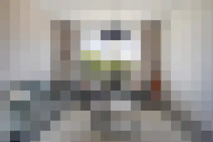 Dr A J Kraaystraat 38 Ochten thumbnail 6