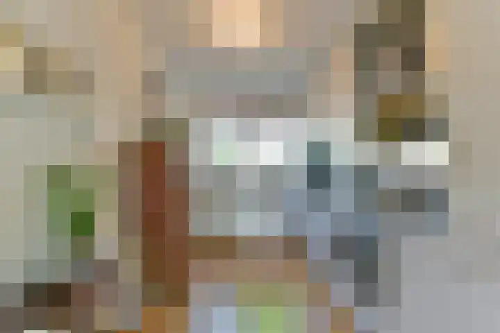 Dr. A. Kuyperlaan 8 Zeist thumbnail 15