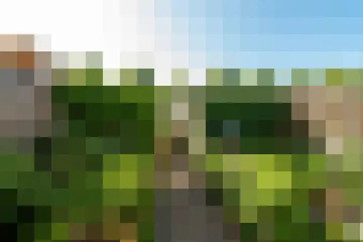 Dr. A. Kuyperlaan 8 Zeist thumbnail 21