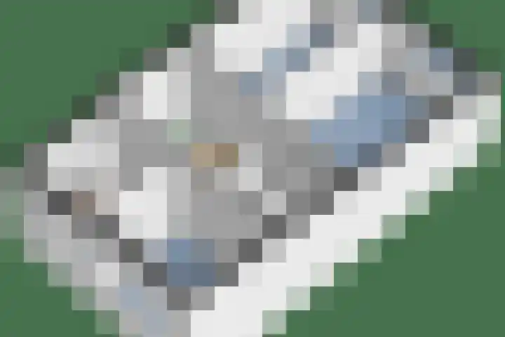 Dr. A. Kuyperlaan 8 Zeist thumbnail 39