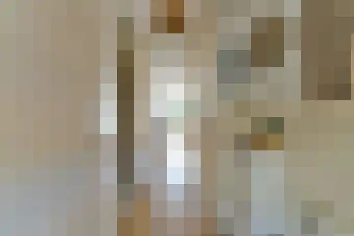 Dr. A. Kuyperlaan 8 Zeist thumbnail 9