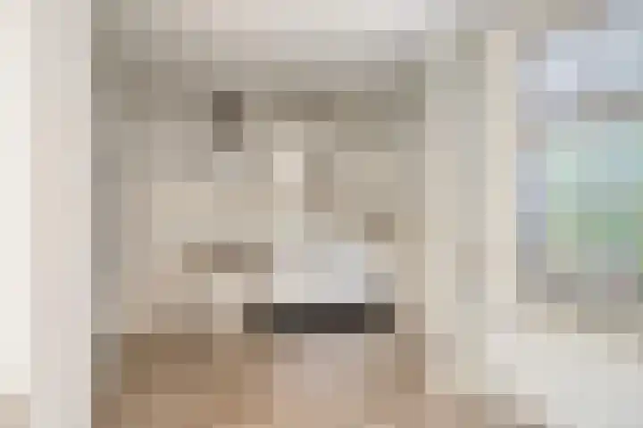 Dr. A. Kuyperplein 1 Hengelo thumbnail 10
