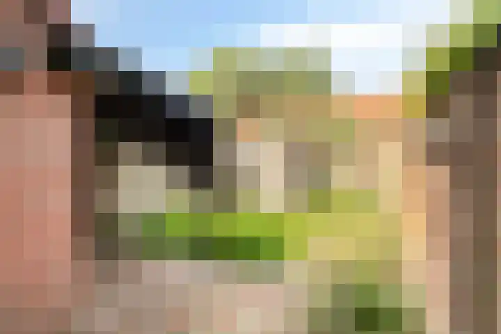 Dr. A. Kuyperplein 1 Hengelo thumbnail 12