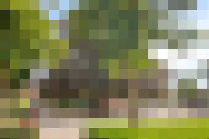 Dr. A. Kuyperplein 1 Hengelo thumbnail 27