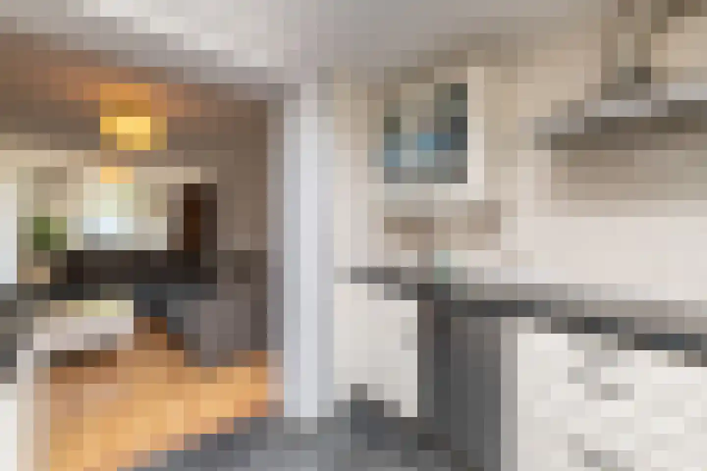 Dr. A. Kuyperstraat 100 Brunssum thumbnail 15