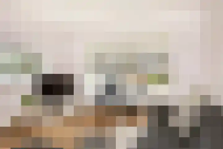 Dr. A. Kuyperstraat 20 Hengelo thumbnail 11