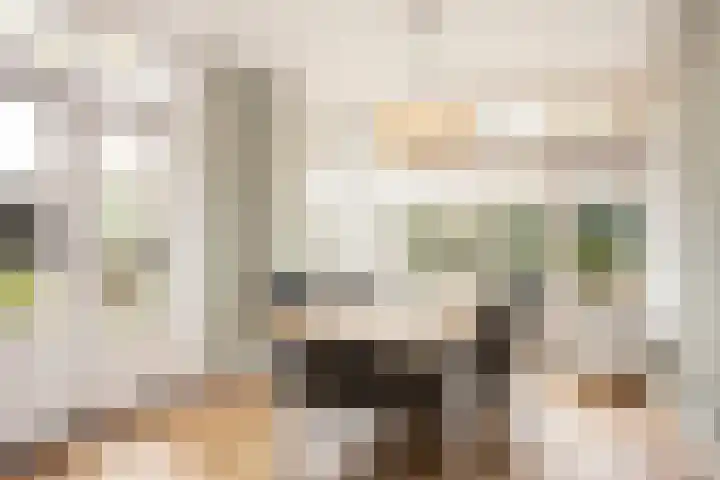 Dr. A. Kuyperstraat 20 Hengelo thumbnail 13