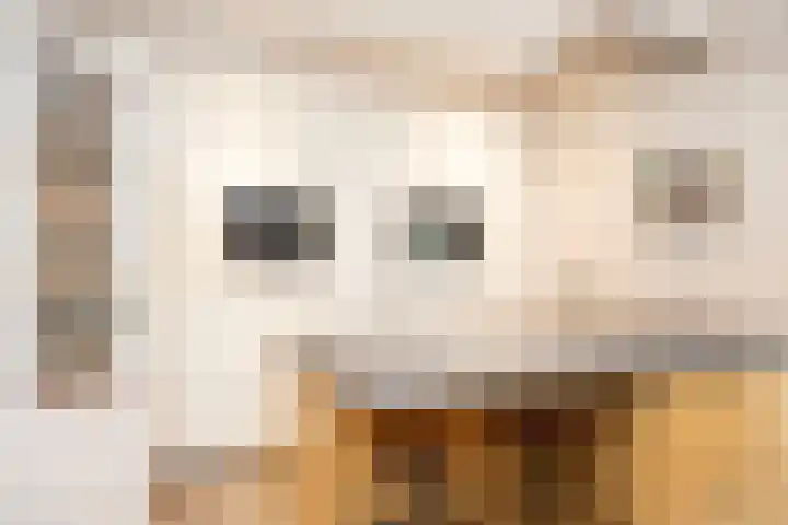 Dr. A. Kuyperstraat 20 Hengelo thumbnail 16