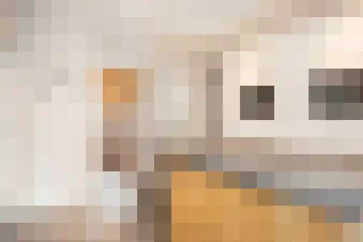 Dr. A. Kuyperstraat 20 Hengelo thumbnail 17