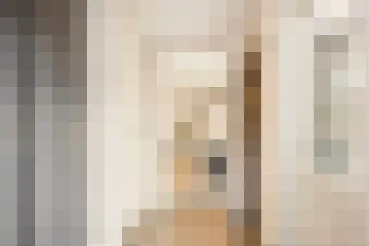 Dr. A. Kuyperstraat 20 Hengelo thumbnail 18