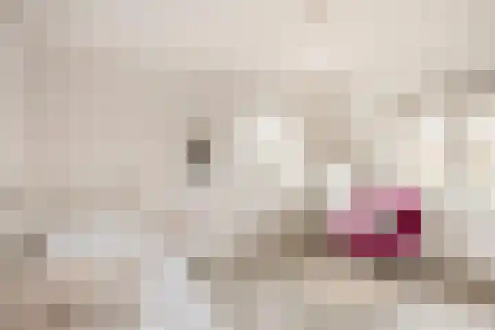 Dr. A. Kuyperstraat 20 Hengelo thumbnail 24