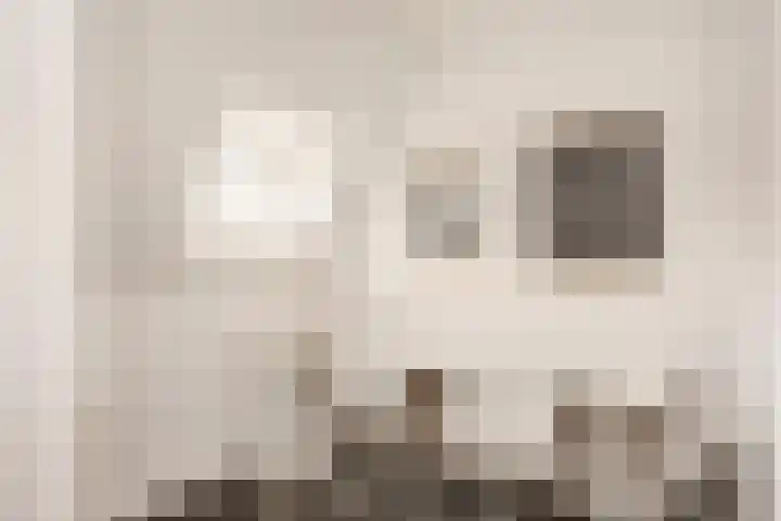 Dr. A. Kuyperstraat 20 Hengelo thumbnail 25