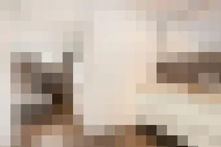 Dr. A. Kuyperstraat 20 Hengelo thumbnail 26