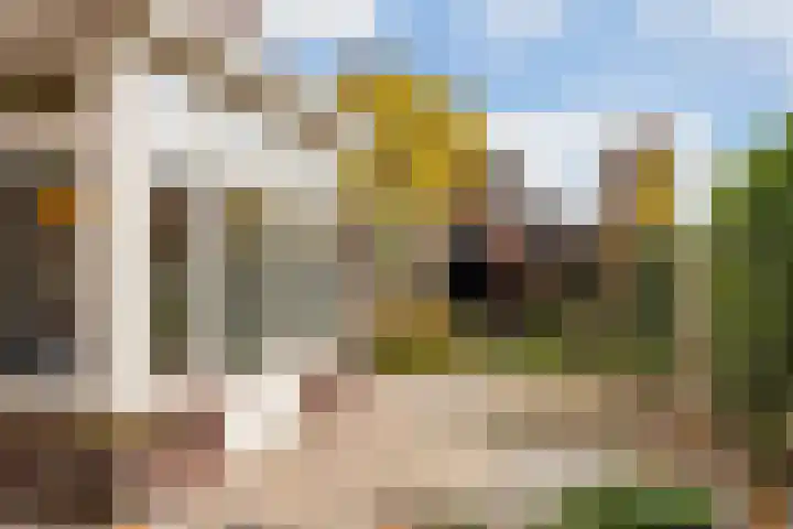 Dr. A. Kuyperstraat 20 Hengelo thumbnail 34
