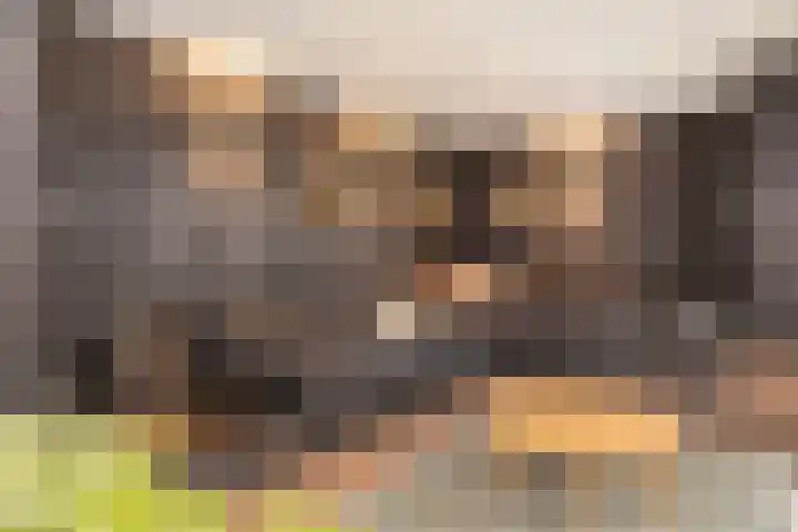 Dr. A. Kuyperstraat 20 Hengelo thumbnail 41