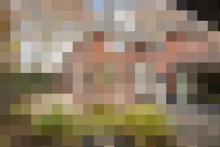 Dr. A. Kuyperstraat 20 Hengelo thumbnail 43