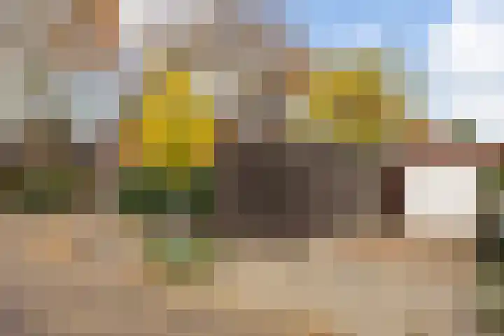 Dr. A. Kuyperstraat 20 Hengelo thumbnail 47
