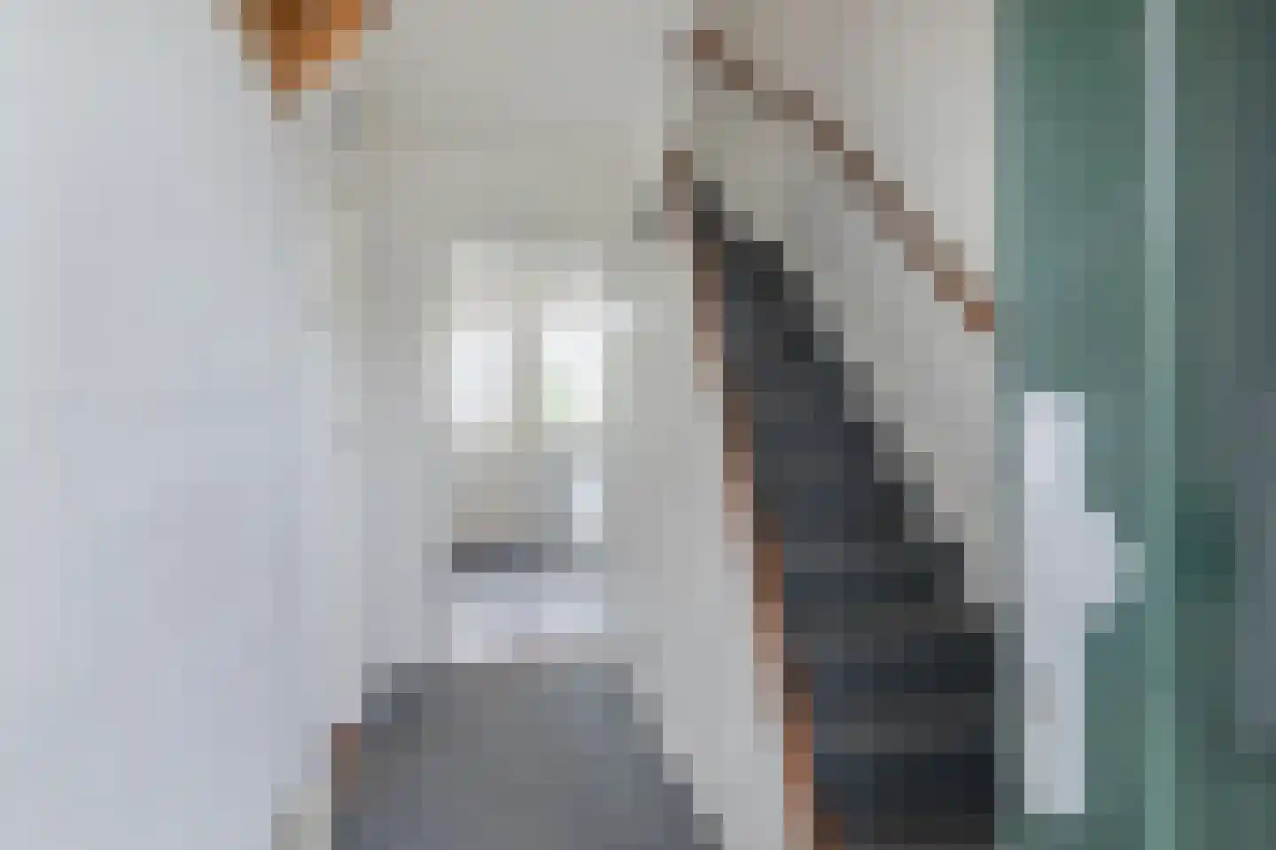 Dr. A. Kuyperstraat 23 Assen thumbnail 10