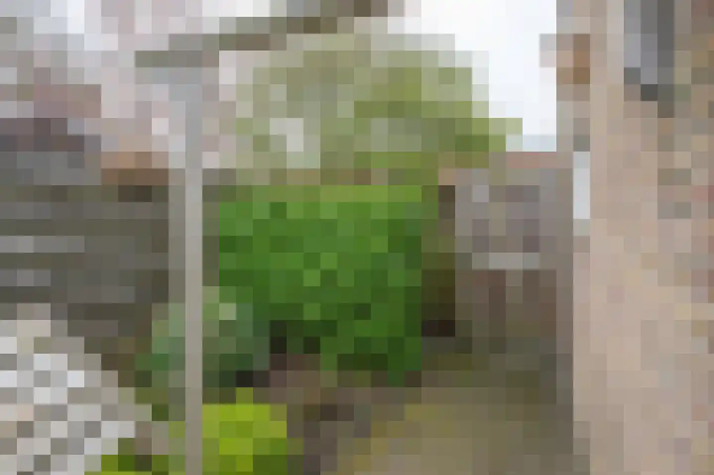 Dr. A. Kuyperstraat 23 Assen thumbnail 37