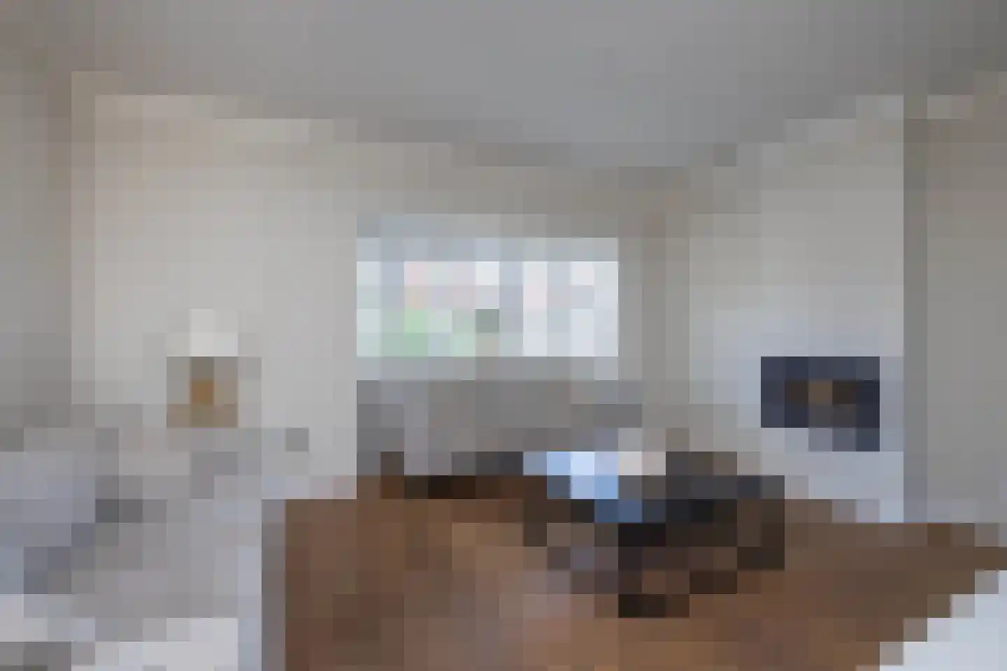 Dr. A. Kuyperstraat 26 Hengelo thumbnail 13