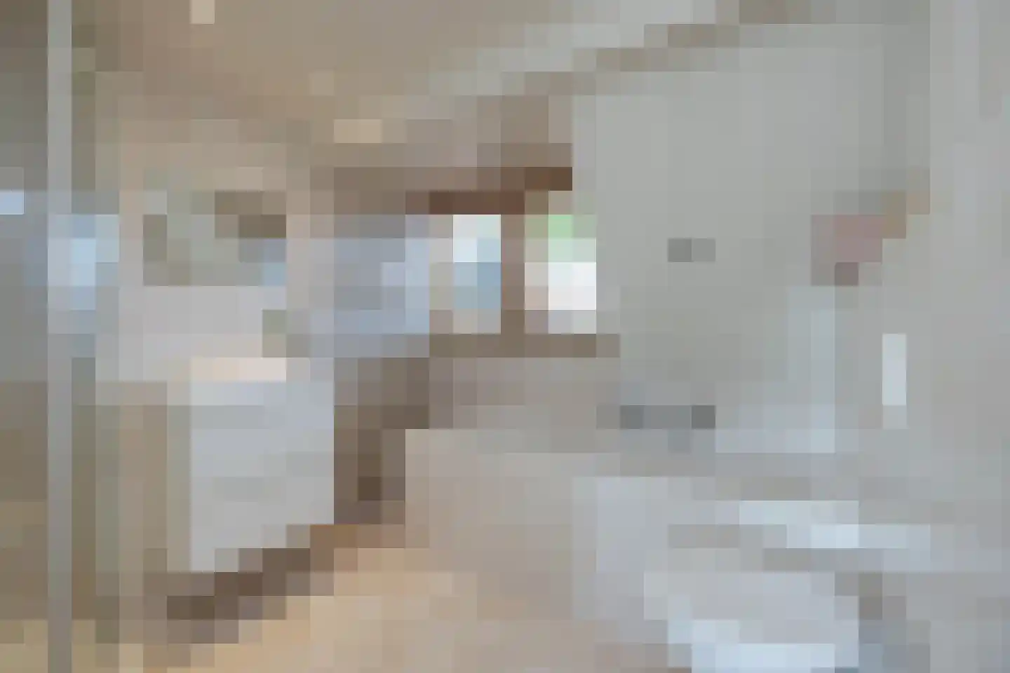 Dr. A. Kuyperstraat 26 Hengelo thumbnail 20