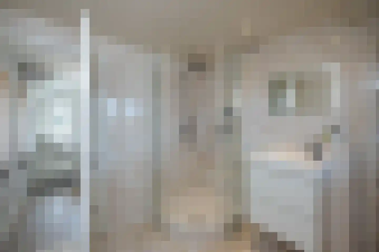 Dr. A. Kuyperstraat 26 Hengelo thumbnail 21